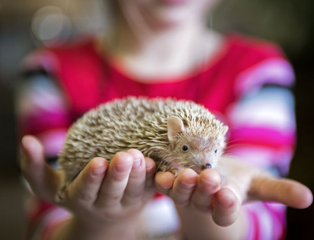 Critter Keepers